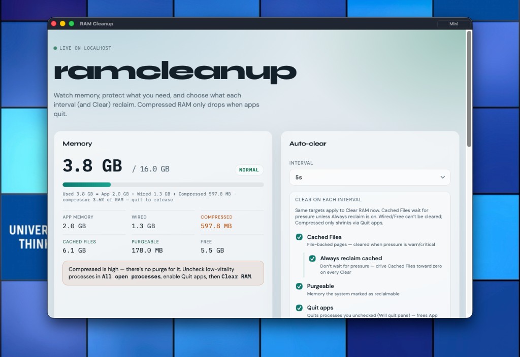 RAM Cleanup full dashboard showing memory breakdown, auto-clear targets, and process list